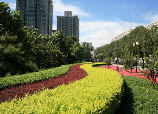友誼縣文化館廣場(chǎng)綠化工程